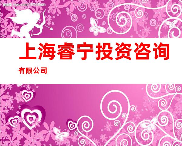 上海睿宁投资咨询有限公司