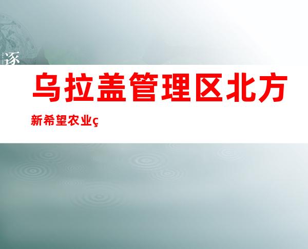 乌拉盖管理区北方新希望农业种植专业合作社